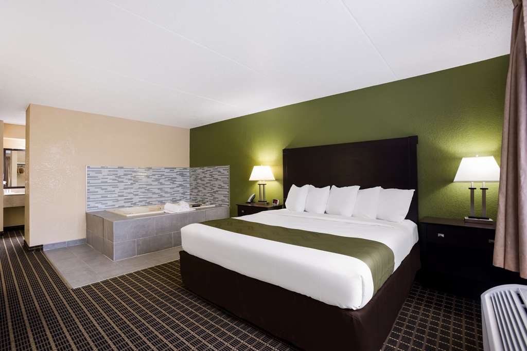 Quality Inn & Suites Big Rapids near University - photo 12