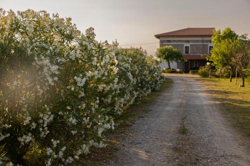 Agri Charme Tenuta Picilli — hotel in Albanella