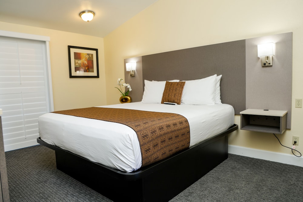 Silver Surf Motel - photo 12