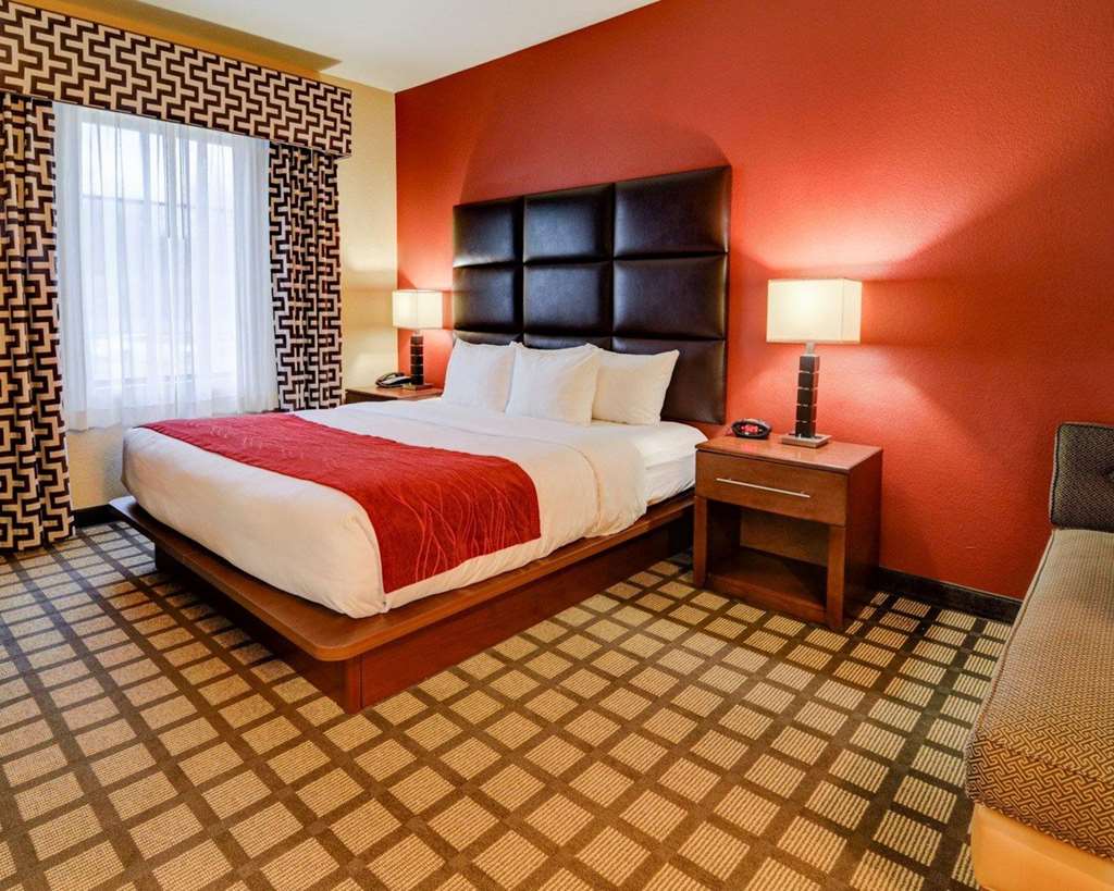 Comfort Inn & Suites Fort Smith I 540 - photo 47