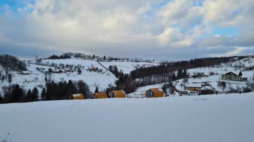 My Little Village in Poiana Marului, Romania