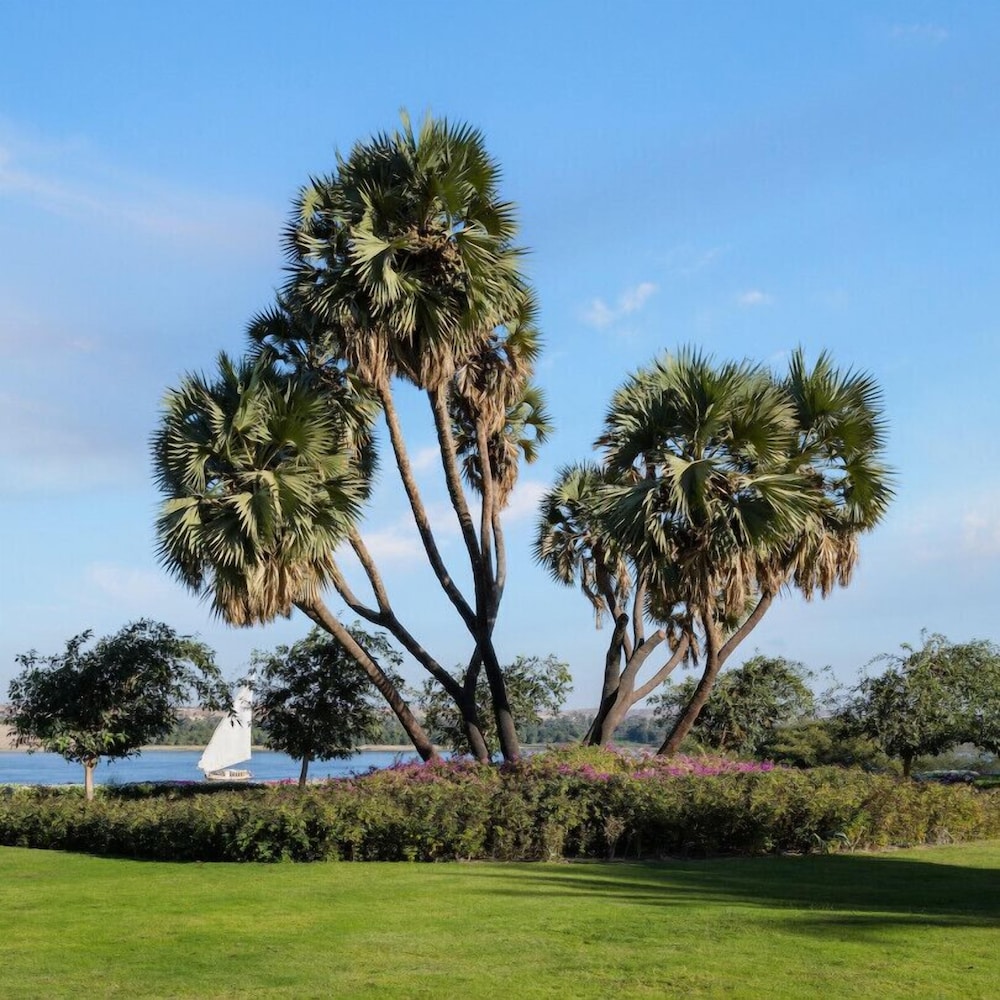 MGM Wellness Retreat in Aswan, Egypt