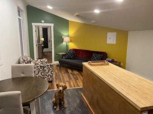 Bluebird Nest in Golden, Canada