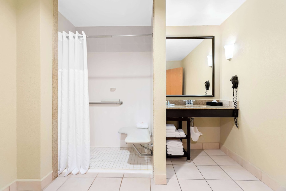 Comfort Suites Tampa Airport North - photo 22