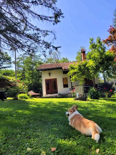 Takovo odmor u selu in Gornji Milanovac, Serbia