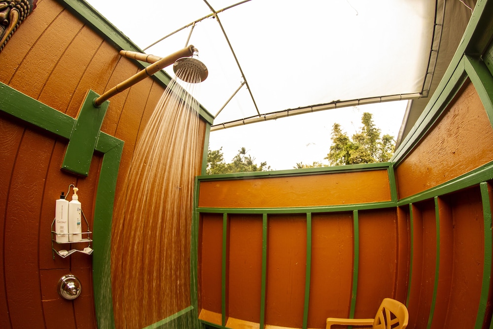 Hawaiian Sanctuary - photo 19