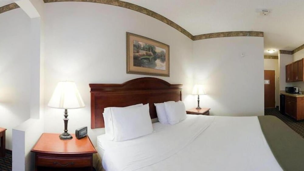 Holiday Inn Express Hotel & Suites Laurinburg by IHG - photo 7