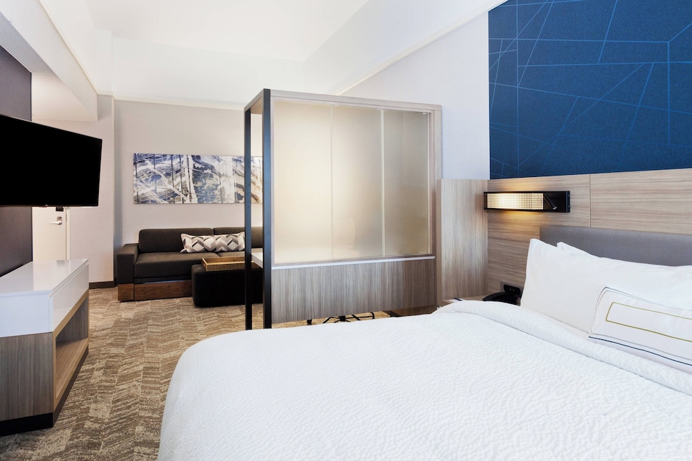 SpringHill Suites by Marriott Montgomery Prattville Millbrook - photo 12