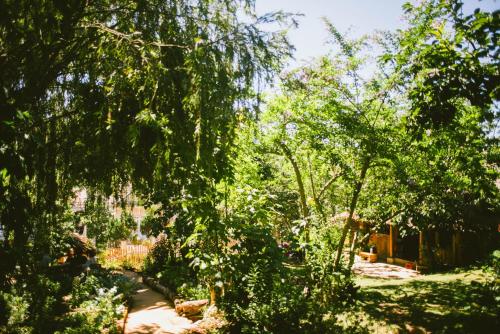 Đà Lạt Củi Homestay — 4-Star Luxury Hotel in Da Lat, Vietnam