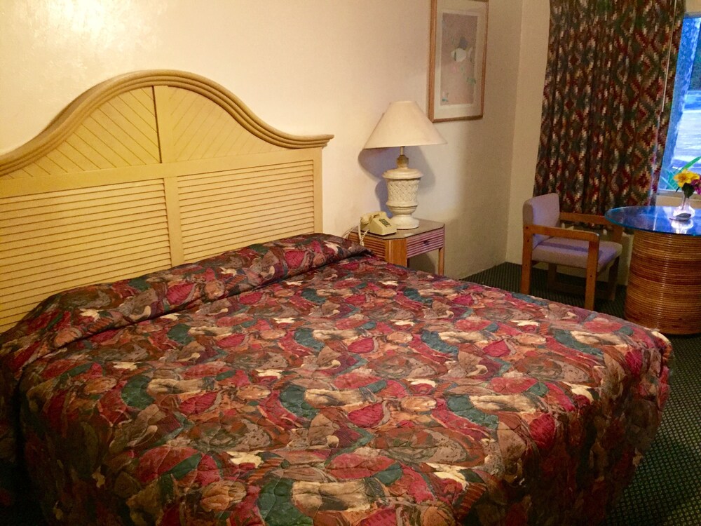 Cadillac Motel Fanning Springs - photo 11