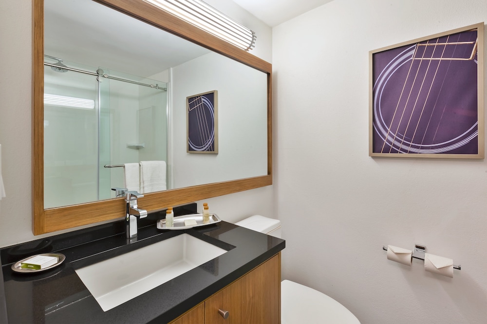 Hotel Indigo Detroit Downtown by IHG - photo 60