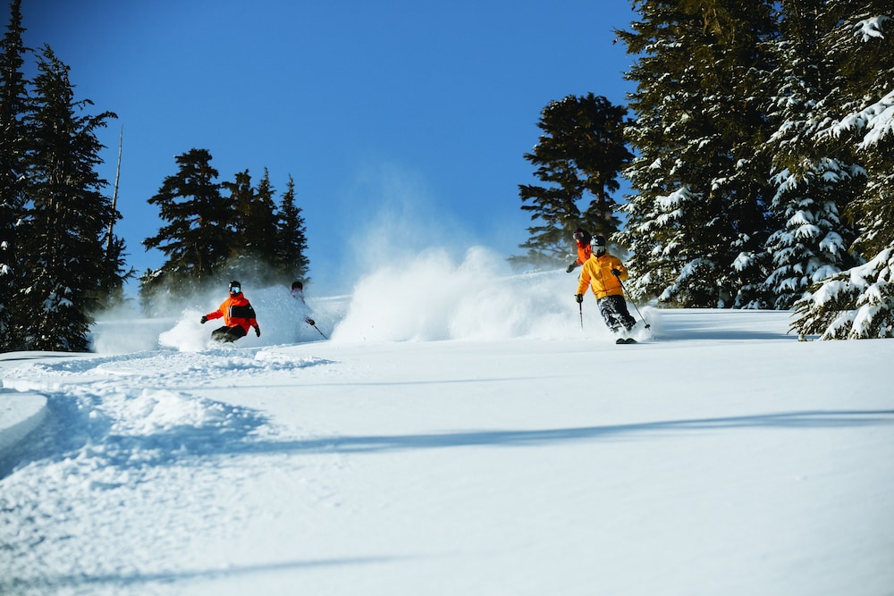 Tamarack Lodge and Resort - photo 40