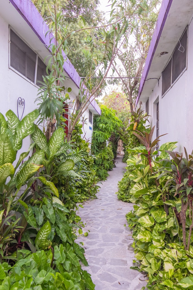 Hotel Aventura - last minute hotel in Merida