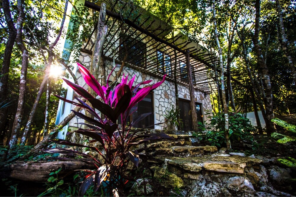 Escarabajo Rojo - carbon neutral hotel in Tulum
