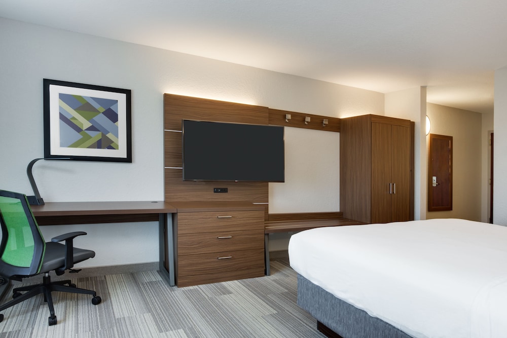 Holiday Inn Express Hotel & Suites Tampa Fairgrounds Casino by IHG - photo 11