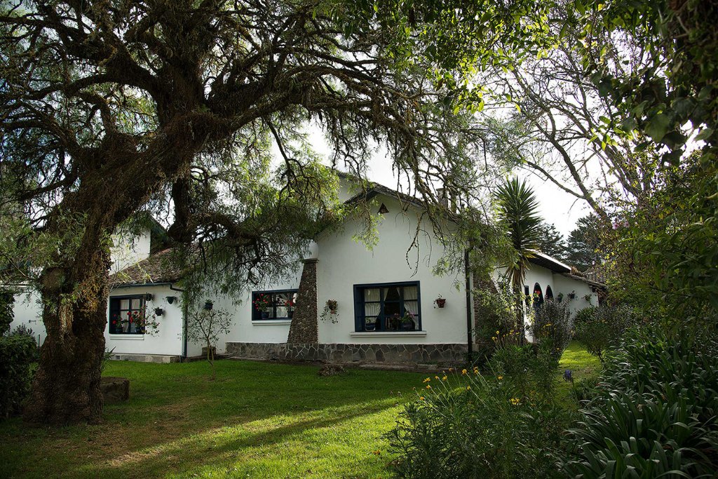 Hacienda Zuleta — Ibarra — photo 3