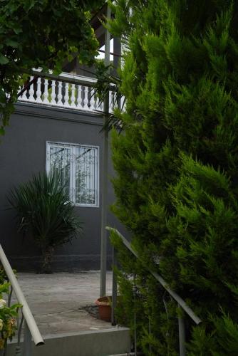 Villa Aragvi