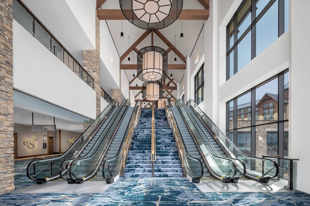 Gaylord Rockies Resort & Convention Center - photo 96