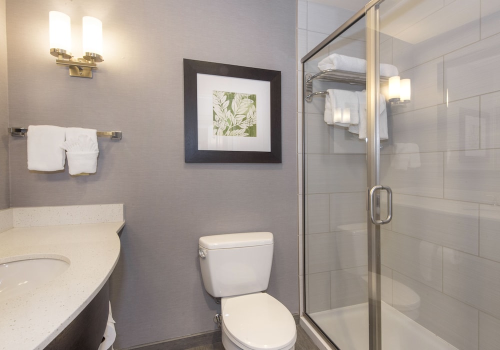 Hilton Garden Inn Raleigh Cary - photo 37