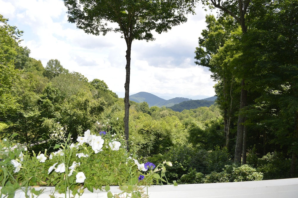 Bald Mountain House Inn at the Wolf Laurel Resort - photo 48