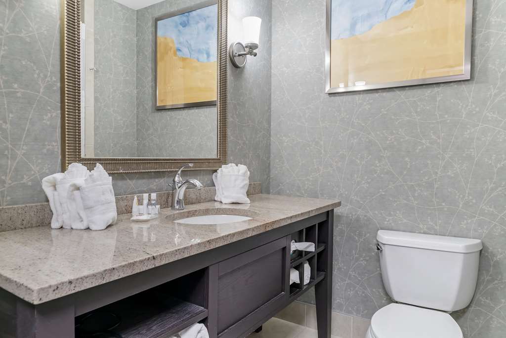Comfort Inn Plainwell - photo 23