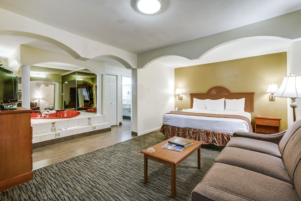 Quality Inn & Suites Dallas Cityplace - photo 4