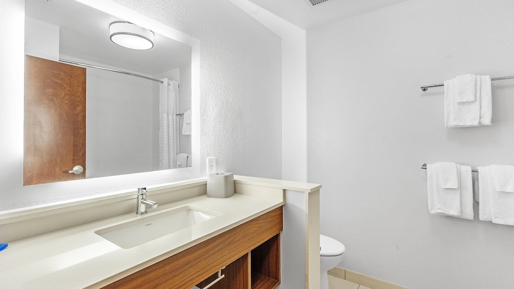 Holiday Inn Express & Suites Mobile University Area by IHG - photo 44
