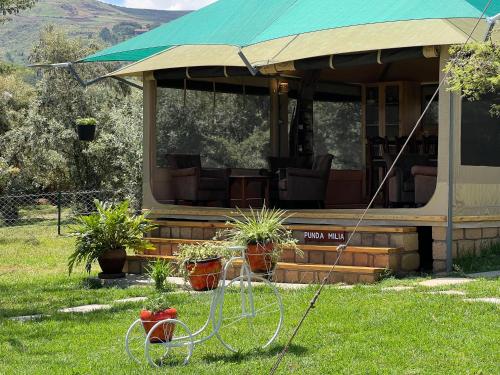 Nyumba ya Farasi — Naivasha — photo 4