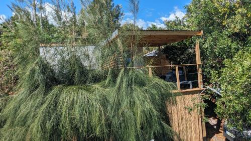 Kaz baies roses in Saint-Leu, Réunion