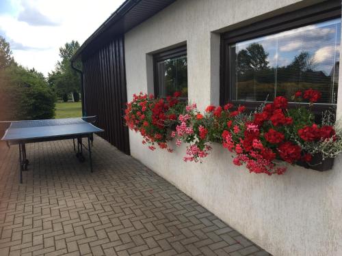 Sauna House in North of Lithuania — 4-Star Luxury Hotel in Mazeikiai, Lithuania