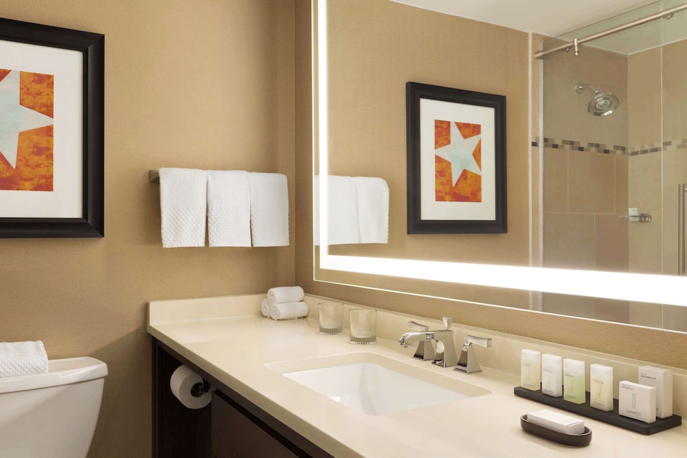 Embassy Suites by Hilton Austin Downtown South Congress - photo 56