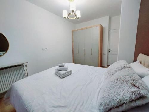 Luxury 2 BR Apartment in Isani