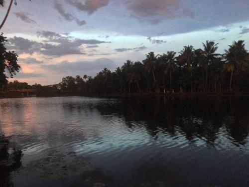 Joan’s Homestay — Vaikam — photo 4