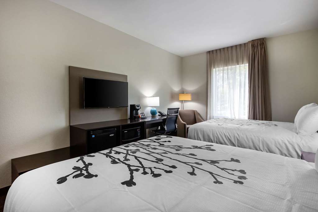 Sleep Inn & Suites Tampa South - photo 21