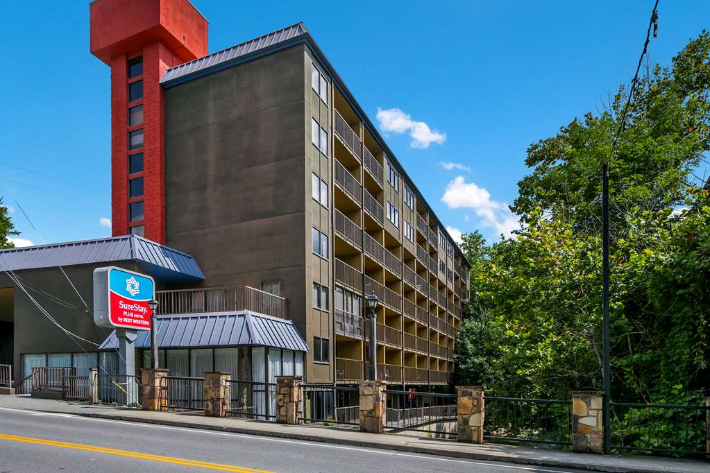 SureStay Plus Hotel by Best Western Gatlinburg - photo 28