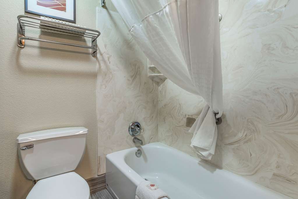 Comfort Inn Flagstaff Lucky Lane I 40 - photo 12
