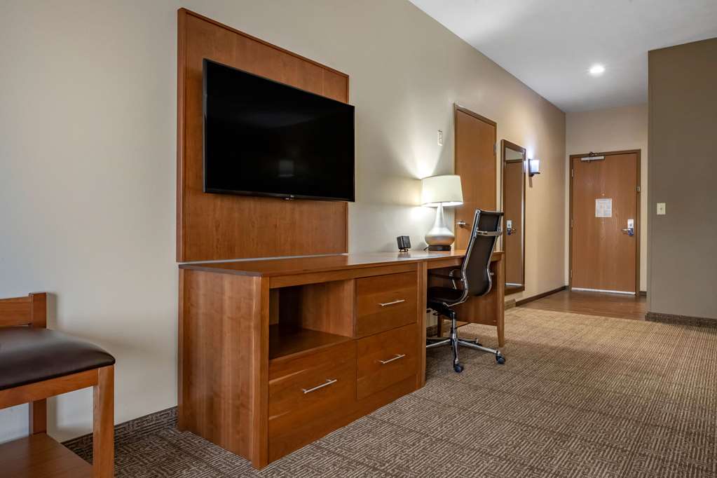 Comfort Suites Hotel and Conference Center - photo 7