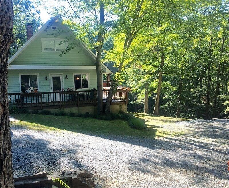 Woodland_magic - photo 2