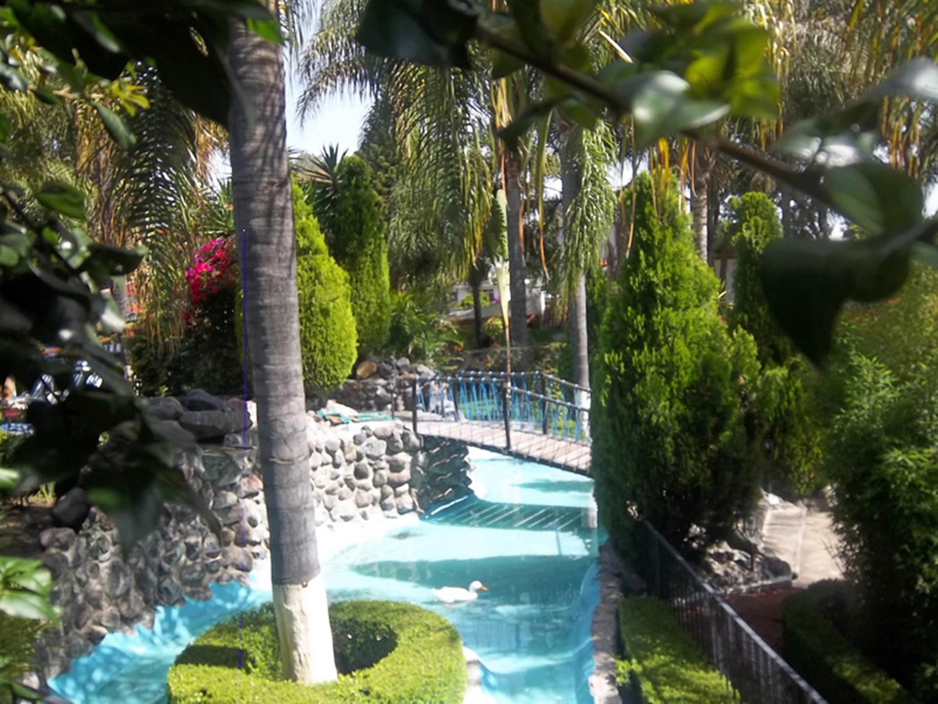 Posada Los Alcatraces — Atlixco — photo 4