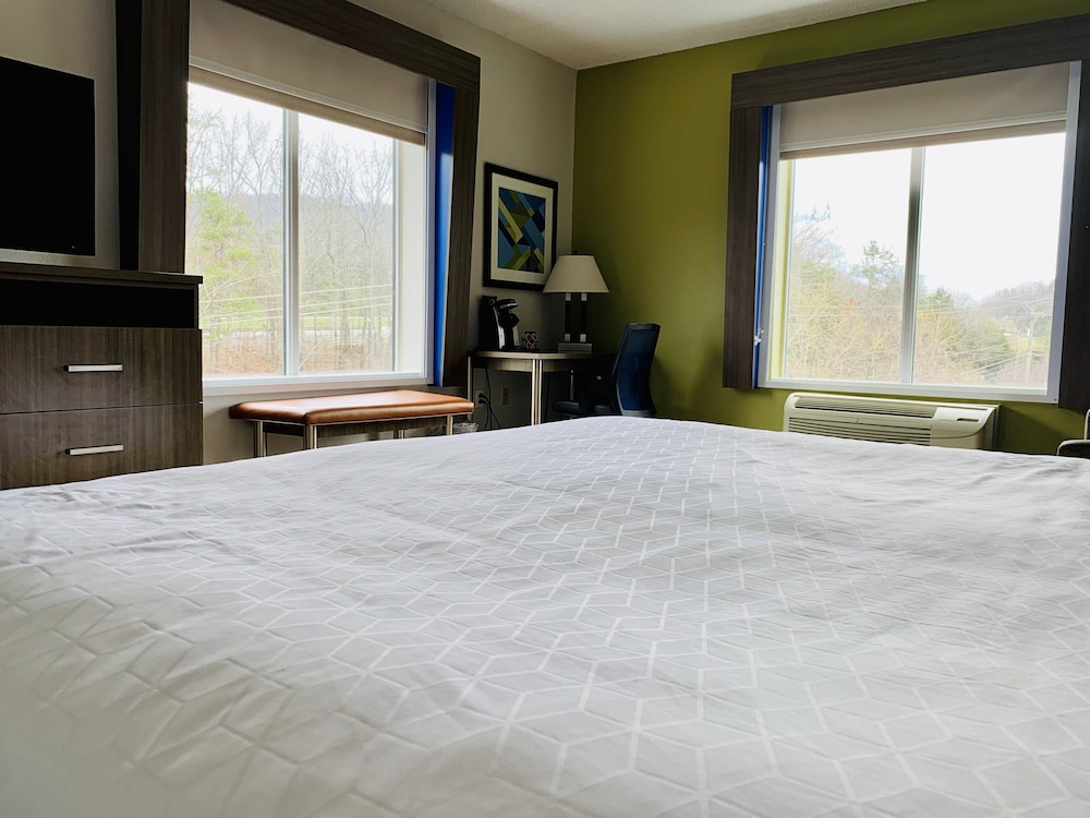 Holiday Inn Express Hotel & Suites Chattanooga Lookout Mtn by IHG - photo 10
