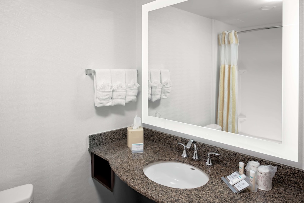 Hilton Garden Inn Atlanta Perimeter Center - photo 19