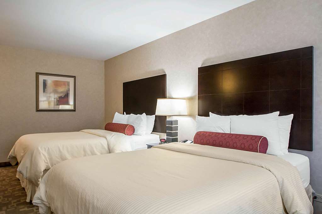 Clarion Inn Elmhurst Oak Brook near I 88 I 290 I 294 - photo 8