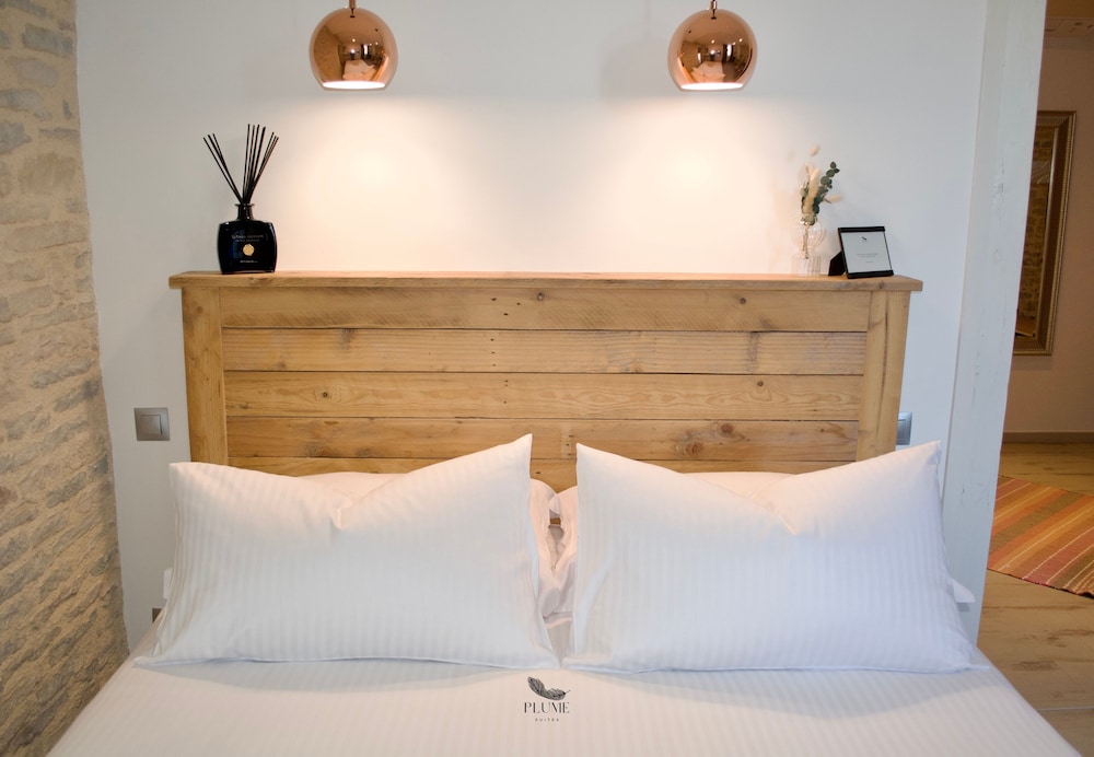 Plume Suites — Fleurey-Sur-Ouche — photo 2