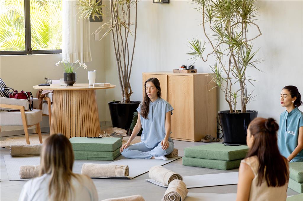 Meditation Ayam