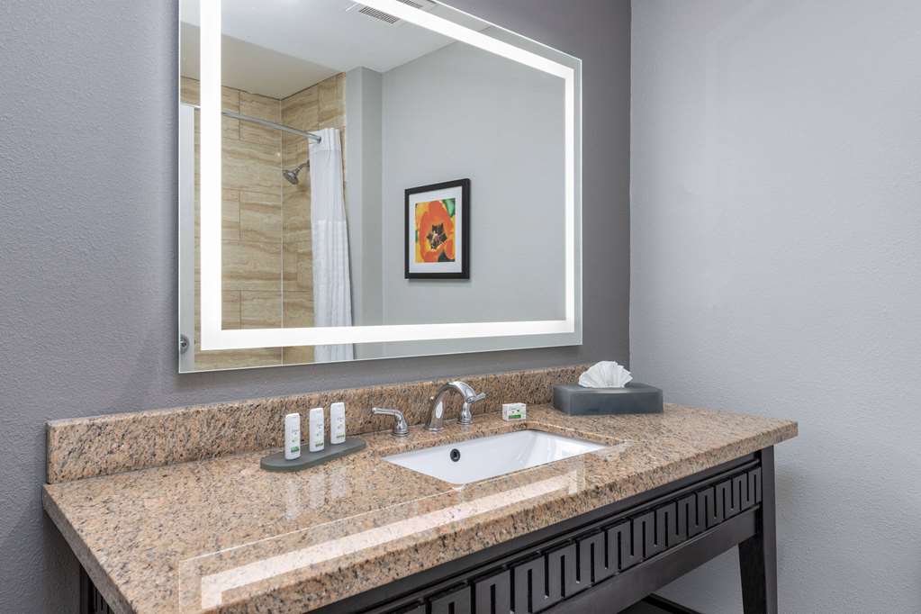 La Quinta Inn & Suites by Wyndham Allen at The Village - photo 23
