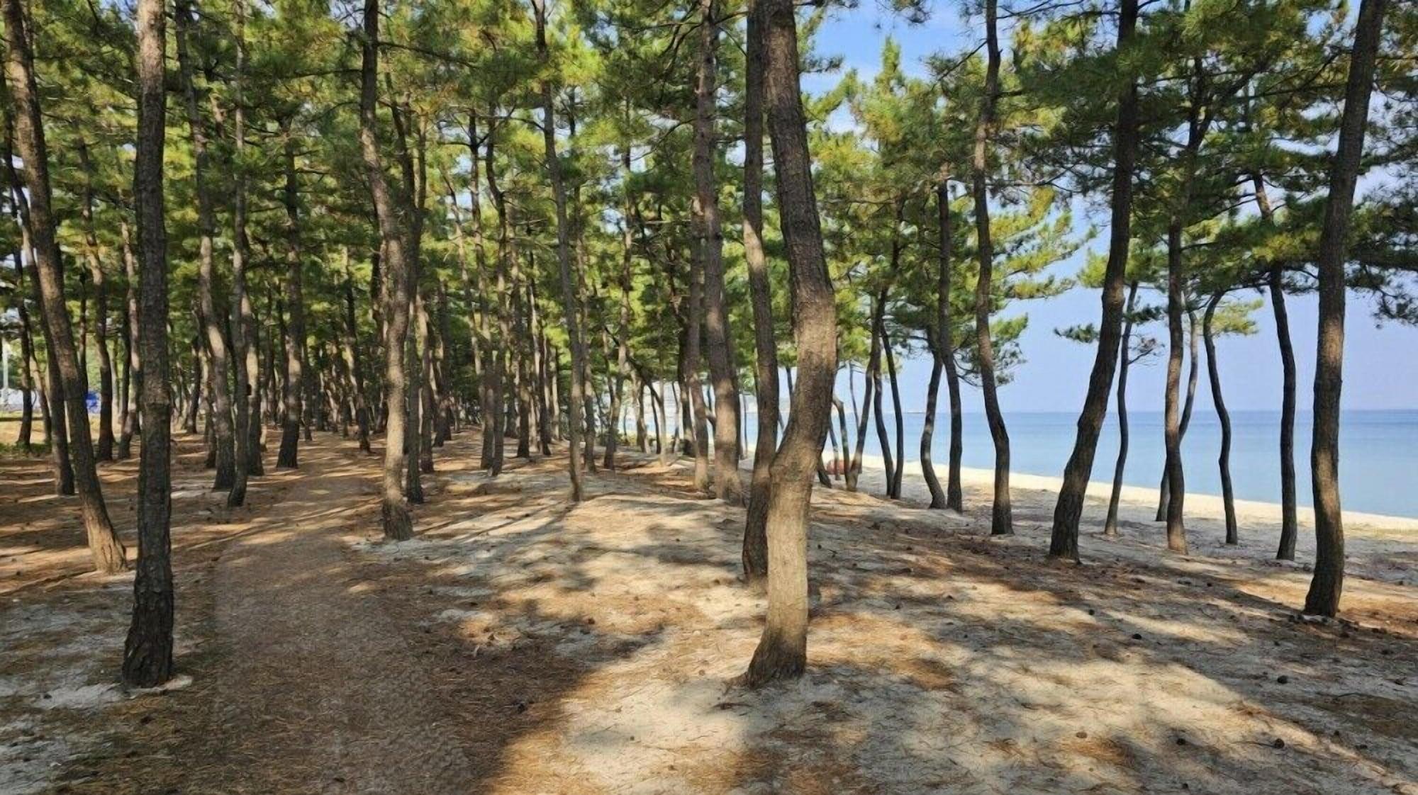 Stay Epple - last minute hotel in Gangneung