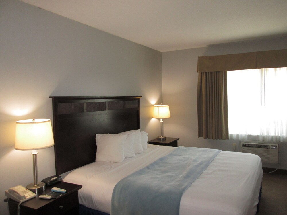Best Western Turtle Brook Inn - photo 8