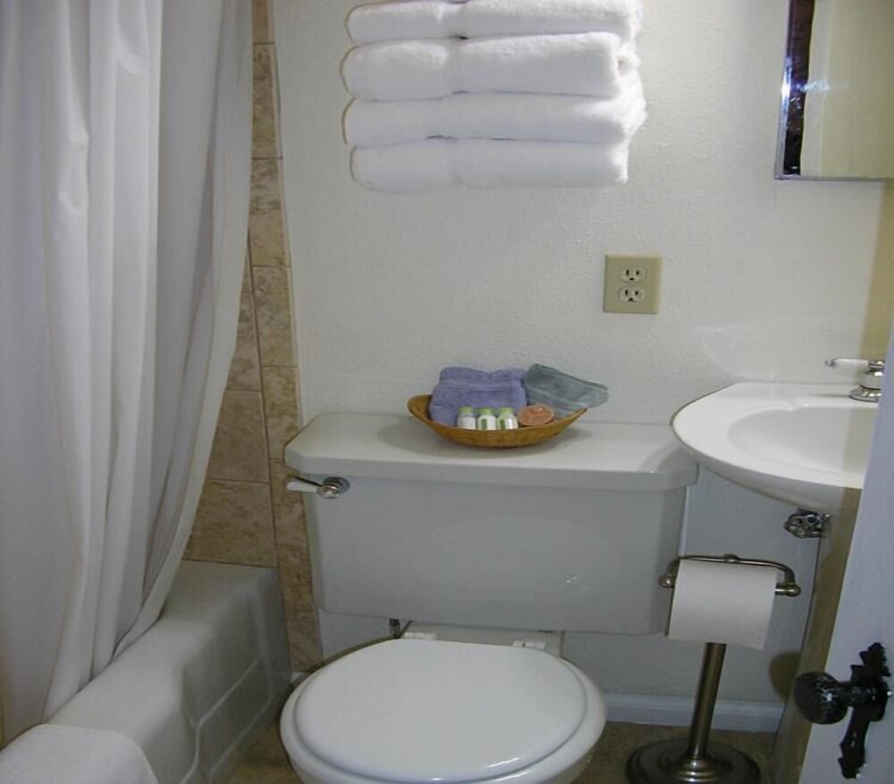 La Plaza Inn - photo 56