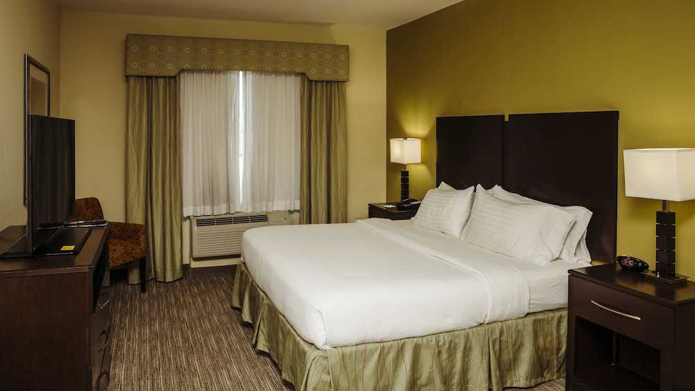 Holiday Inn Express & Suites Waller Prairie View by IHG - photo 9