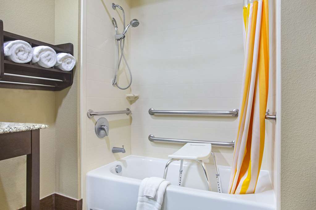 La Quinta Inn & Suites by Wyndham Pearsall - photo 19